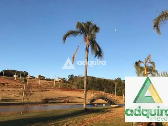 Terreno com 300m², à venda, no bairro Colônia Dona Luíza em Ponta Grossa
