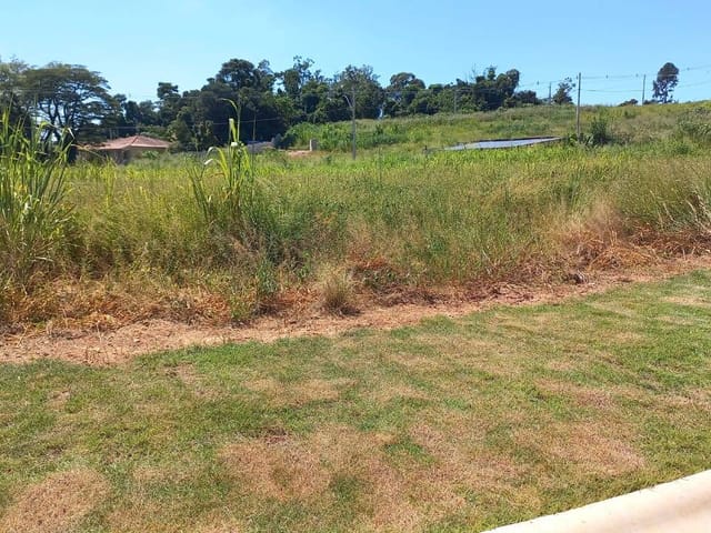 Terreno com 384m², à venda, no bairro Ipiranga em Louveira