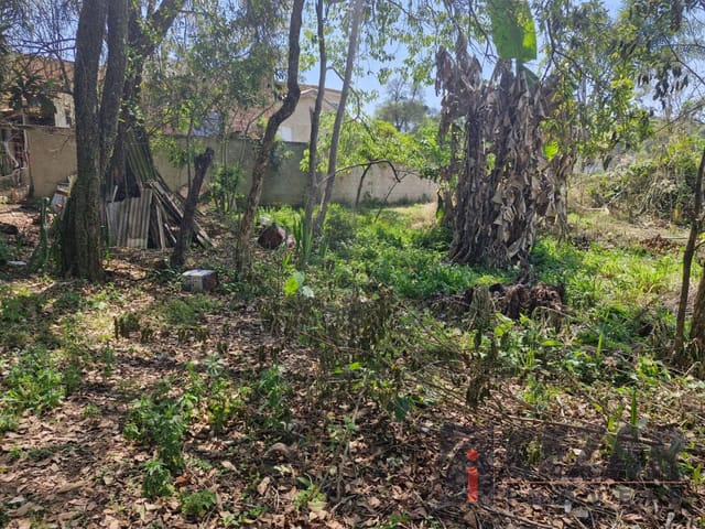 Terreno à venda, no bairro Arruda em Colombo