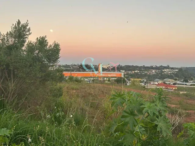 Terreno com 6638m², à venda, no bairro Matinho em Xanxerê