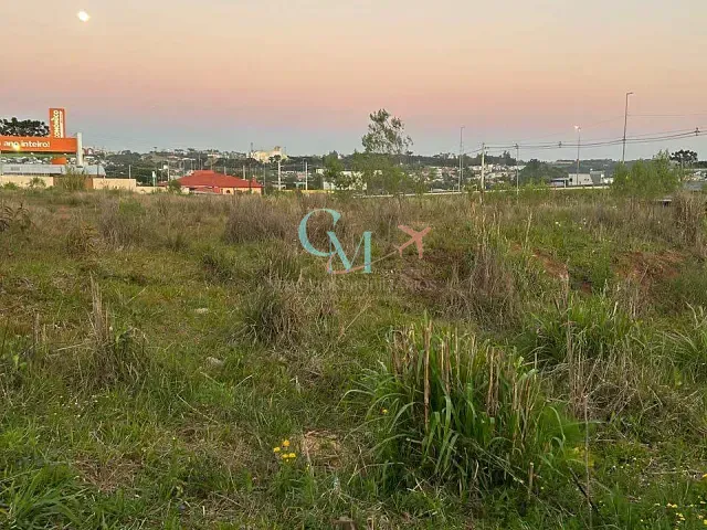 Terreno com 6638m², à venda, no bairro Matinho em Xanxerê