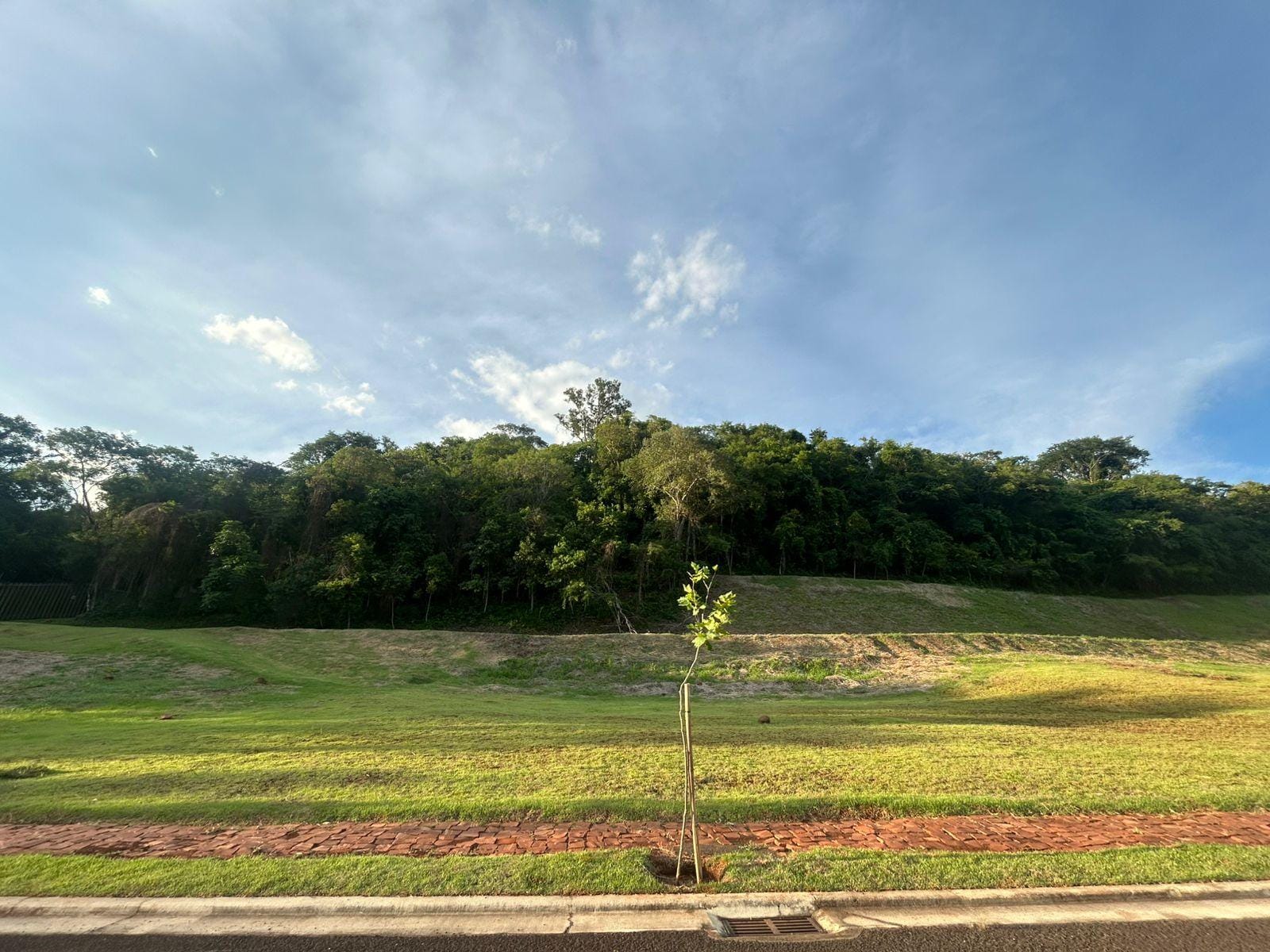 Terreno, 1457 m² - Foto 32