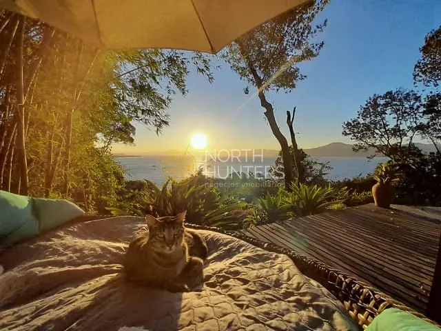 Terreno com 6100m², à venda, no bairro Jurerê Internacional em Florianópolis