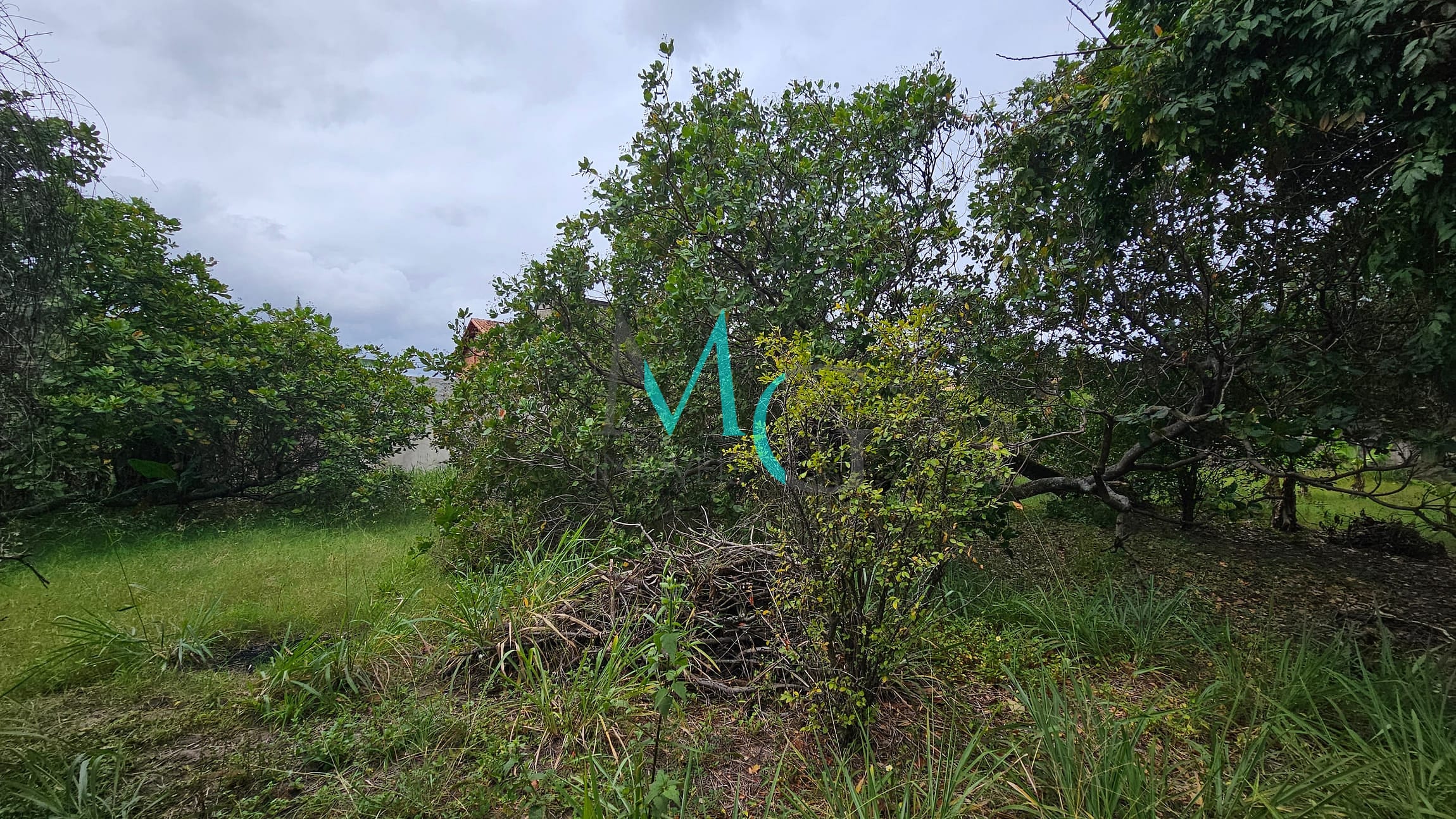 Terreno, 2000 m² - Foto 10