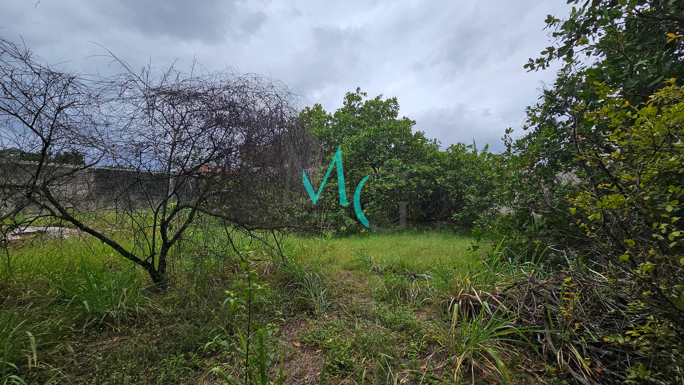 Terreno, 2000 m² - Foto 11