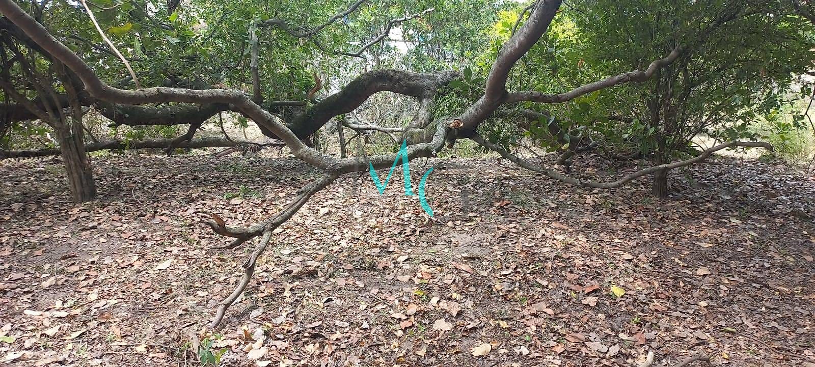 Terreno, 2000 m² - Foto 15