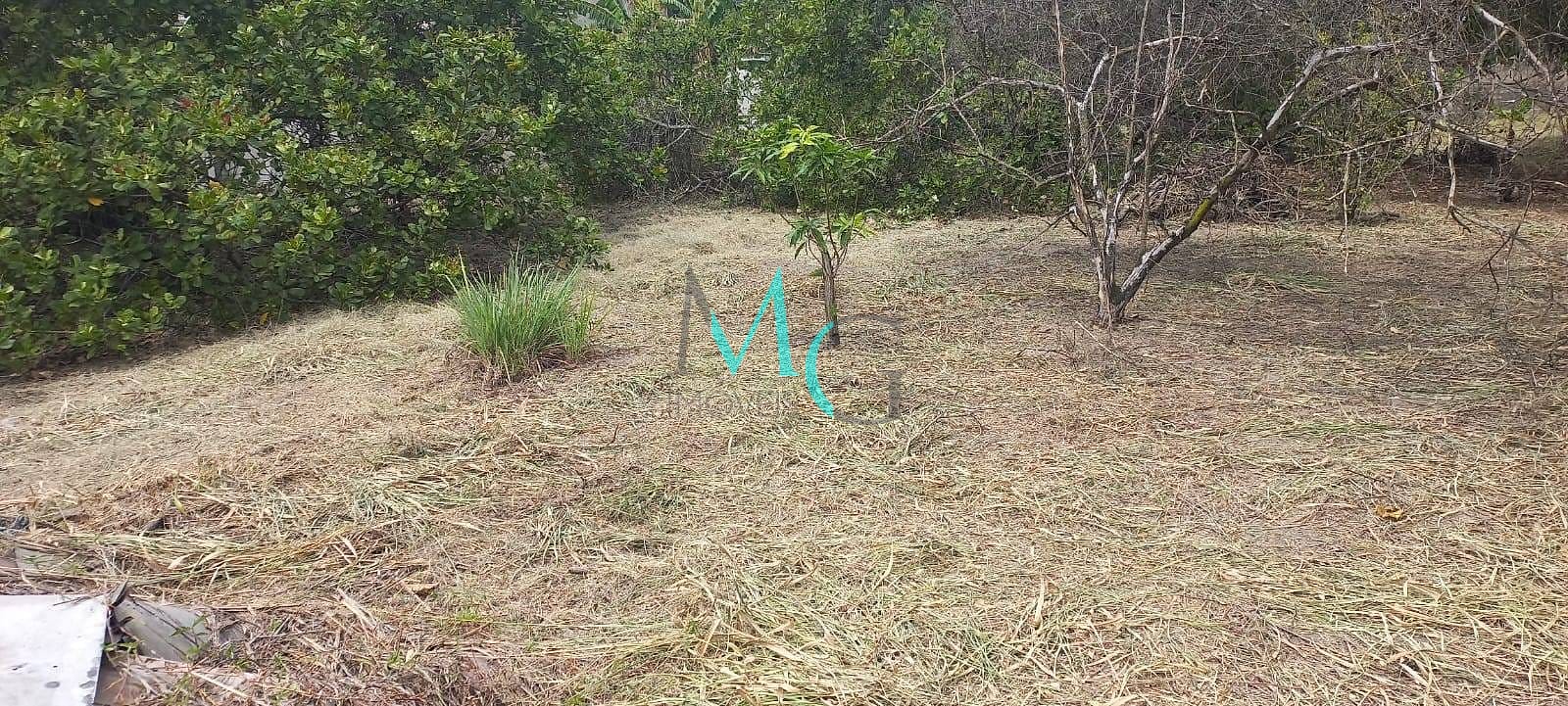 Terreno, 2000 m² - Foto 16