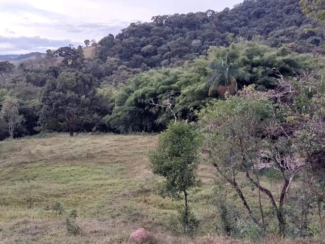 Terreno com 28000m², à venda, no bairro Zona Rural em Coração de Jesus