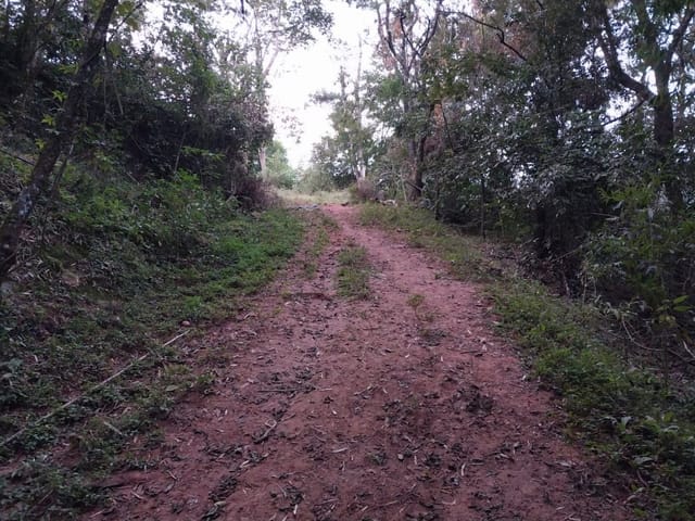 Terreno com 28000m², à venda, no bairro Zona Rural em Coração de Jesus