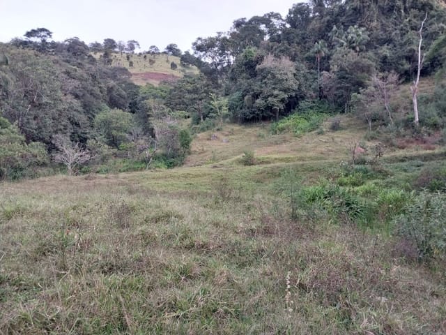 Terreno com 28000m², à venda, no bairro Zona Rural em Coração de Jesus