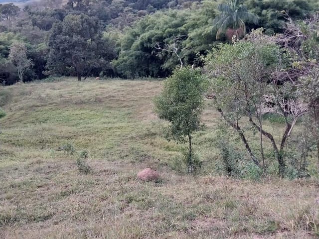 Terreno com 28000m², à venda, no bairro Zona Rural em Coração de Jesus