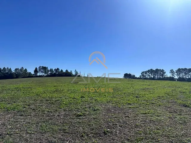 Terreno com 59700m², à venda, no bairro Monte Bonito em Pelotas