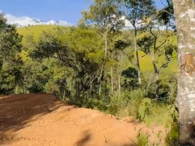 Terreno com 20000m², à venda, no bairro Serra dos Rodrigues  em Cambuí