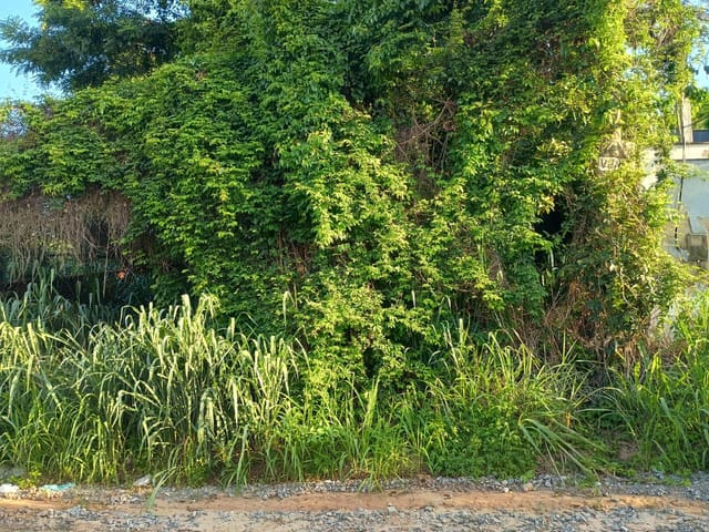 Terreno com 607m², à venda, no bairro Jardim Atlântico Oeste (Itaipuaçu) em Maricá