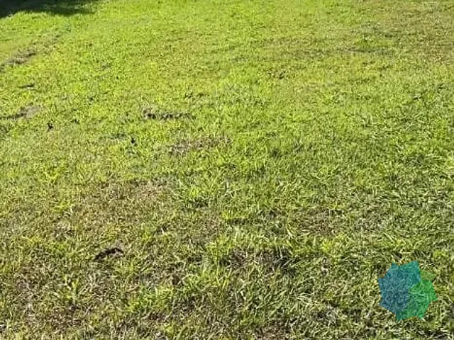 Terreno com 1000m², à venda, no bairro Condomínio Palmeiras Imperiais em Salto