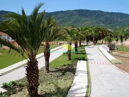 Terreno, 466 m² - Foto 10