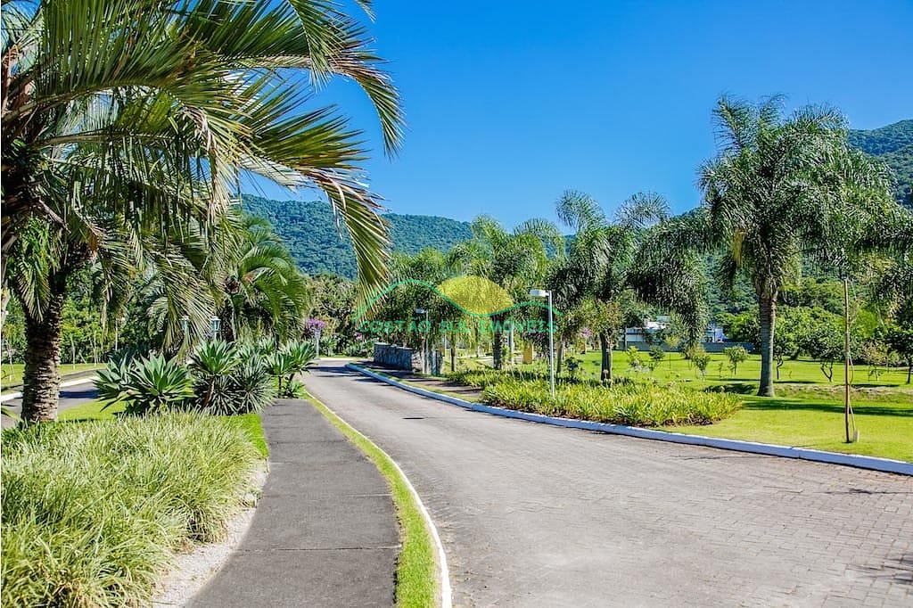 Terreno, 466 m² - Foto 3