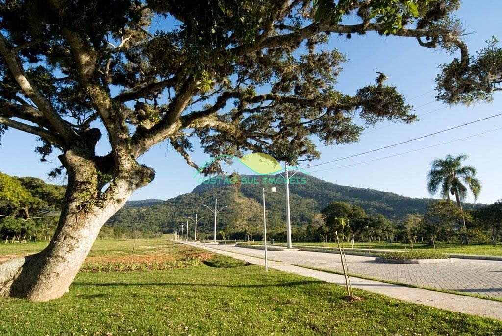 Terreno, 466 m² - Foto 11