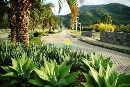 Terreno, 466 m² - Foto 6