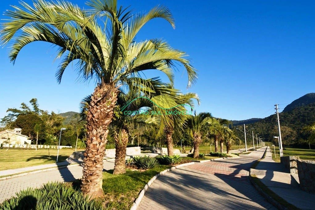 Terreno, 466 m² - Foto 7