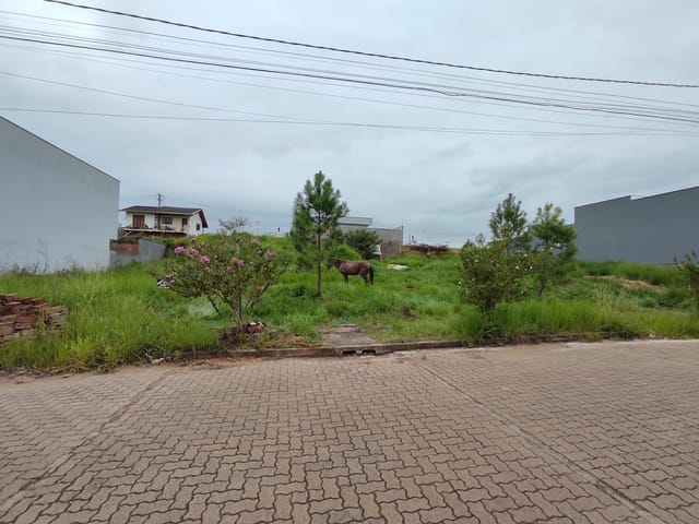 Foto do Terreno - Terreno Bosque dos Ipês em Sapiranga | Frassão Negócios