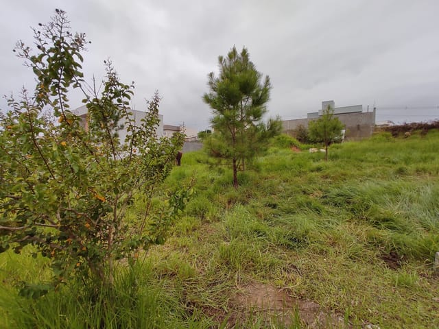 Foto do Terreno - Terreno Bosque dos Ipês em Sapiranga | Frassão Negócios