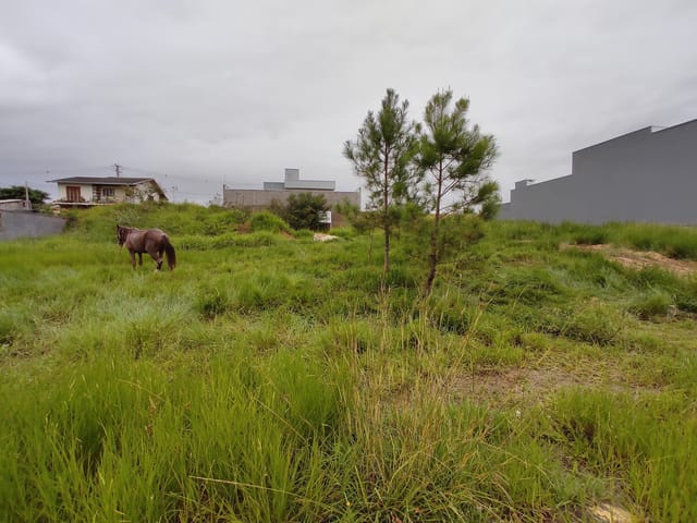 Foto do Terreno - Terreno Bosque dos Ipês em Sapiranga | Frassão Negócios