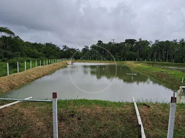 Terreno com 50200m², à venda, no bairro Jardim Ribamar em Peruíbe