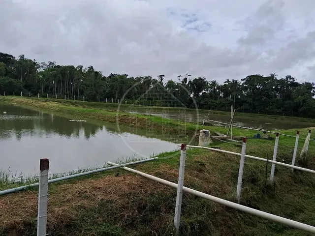 Terreno com 50200m², à venda, no bairro Jardim Ribamar em Peruíbe