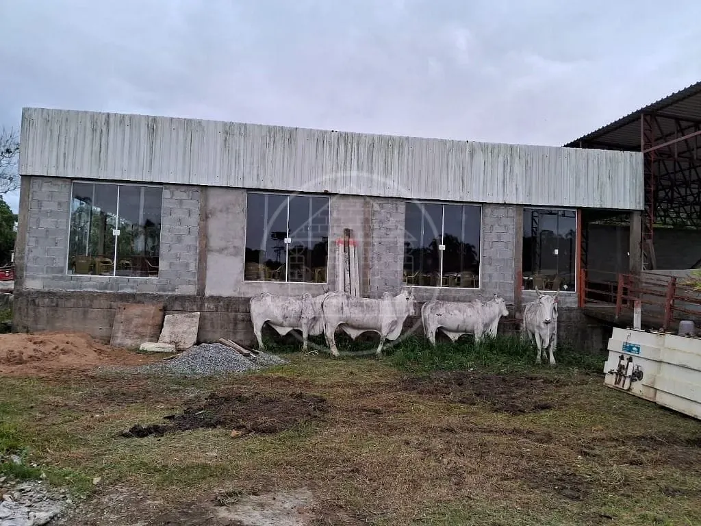 Terreno, 5 hectares - Foto 11