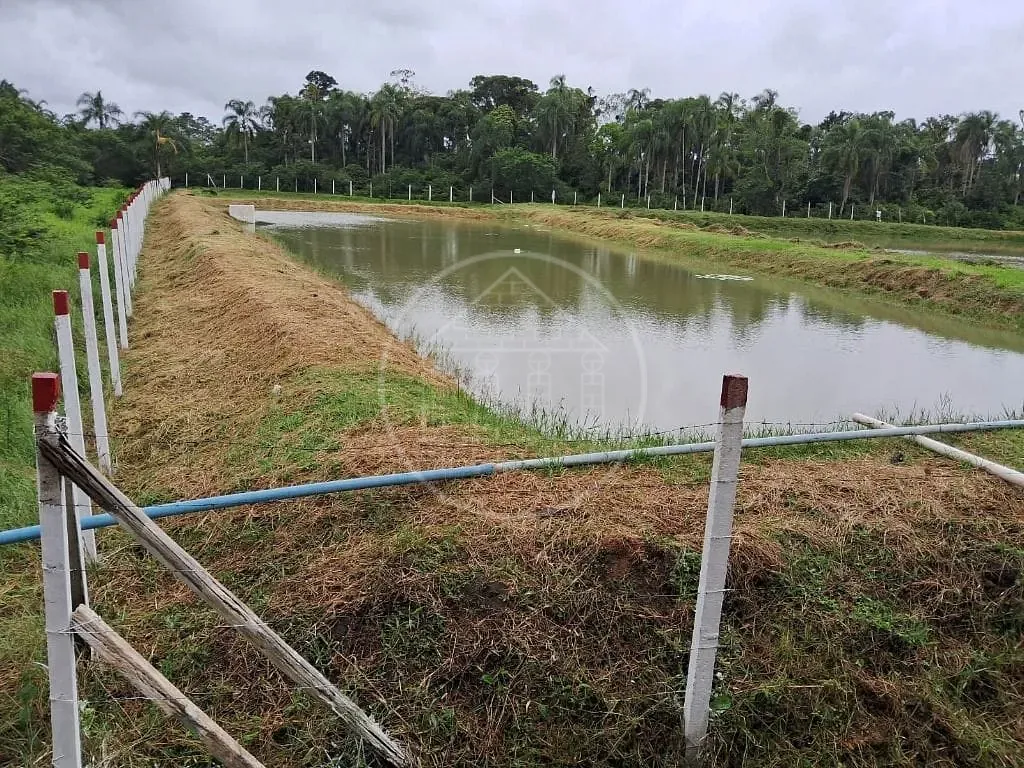 Terreno, 5 hectares - Foto 4