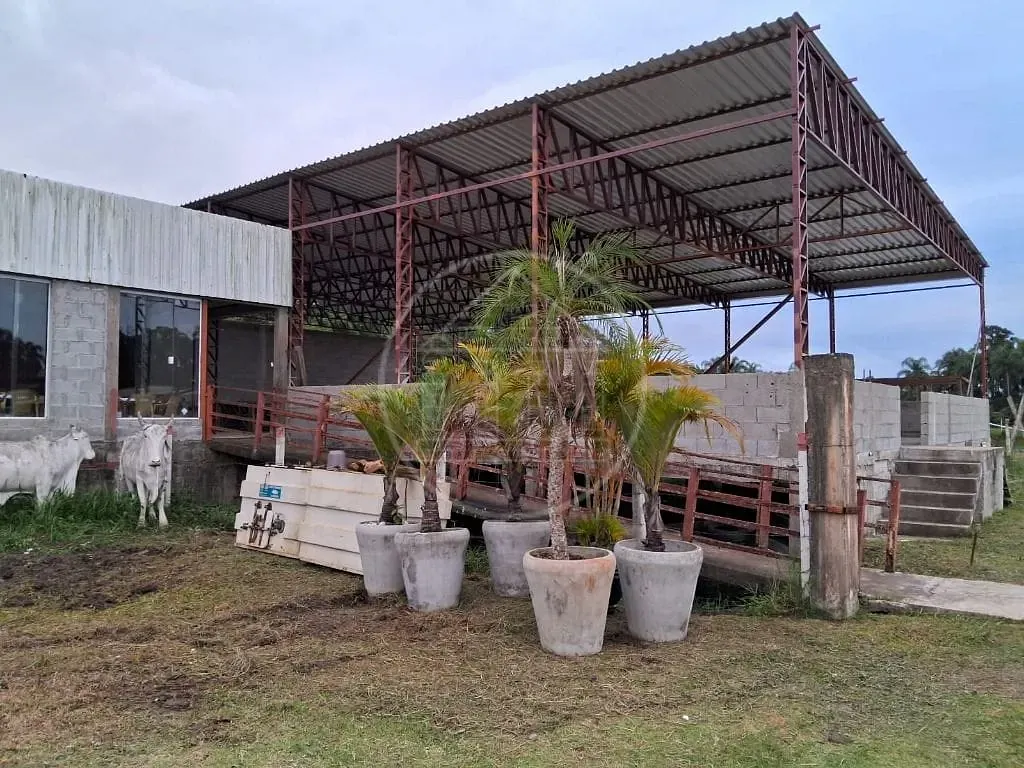 Terreno, 5 hectares - Foto 10