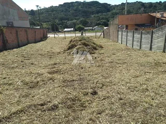 Terreno com 360m², à venda, no bairro Jardim Carvalho em Ponta Grossa