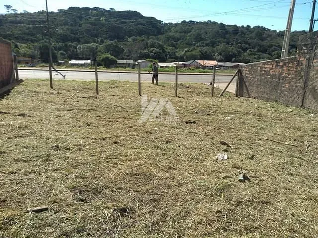 Terreno com 360m², à venda, no bairro Jardim Carvalho em Ponta Grossa
