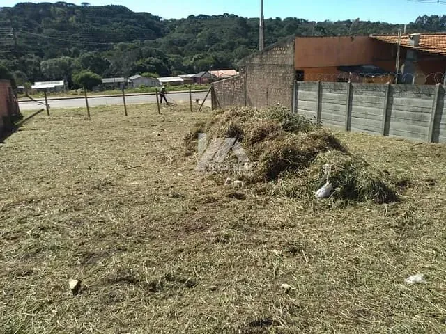Terreno com 360m², à venda, no bairro Jardim Carvalho em Ponta Grossa