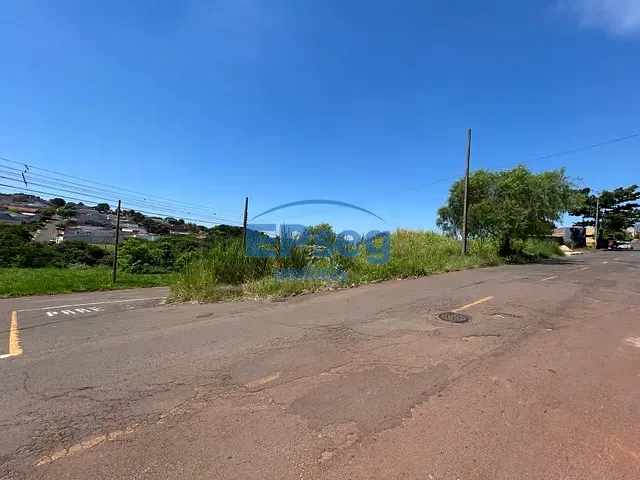 Terreno com 385m², à venda, no bairro Olímpico em Londrina