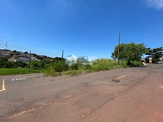 Terreno com 385m², à venda, no bairro Olímpico em Londrina