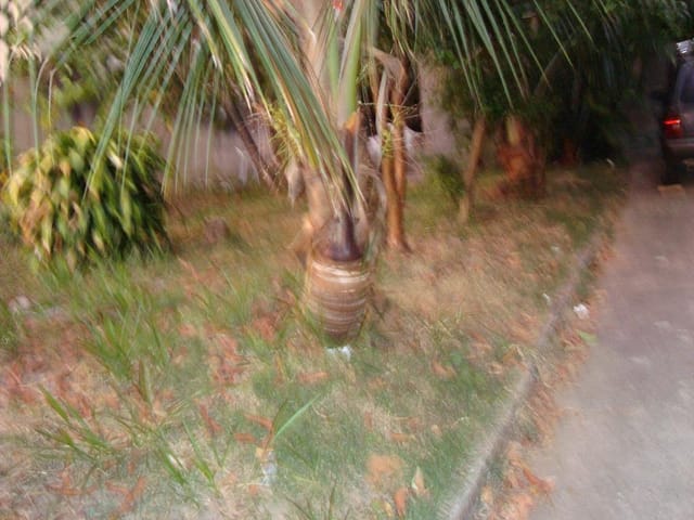 Foto do Terreno - Terreno residencial à venda, Bosque dos Eucaliptos, São José dos Campos. | INDEPENDENCE NEGOCIOS IMOBILIARIOS LTDA
