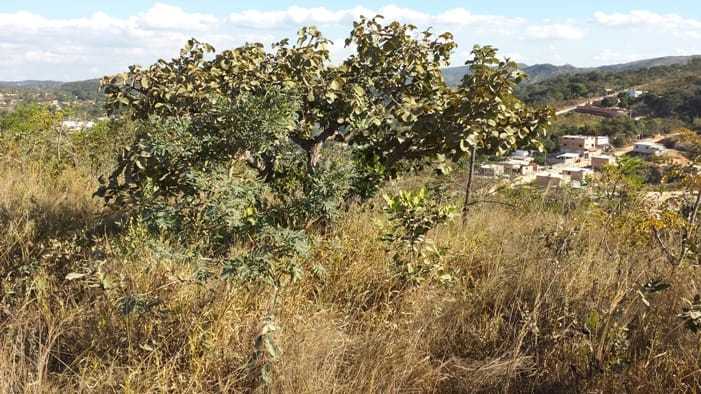 https://static.arboimoveis.com.br/TE0120_REALLE/terreno-a-venda-vianinha-esmeraldas1621361279858gnrhh.jpg