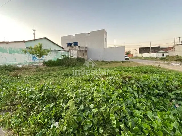 Terreno com 320m², para alugar, no bairro Três Irmãs em Campina Grande