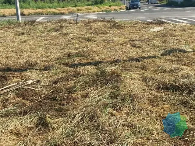 Terreno com 190m², à venda, no bairro Loteamento Terras de São Pedro e São Paulo em Salto