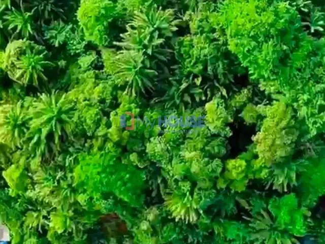Terreno com 2713m², à venda, no bairro Boa Vista em Ilhéus