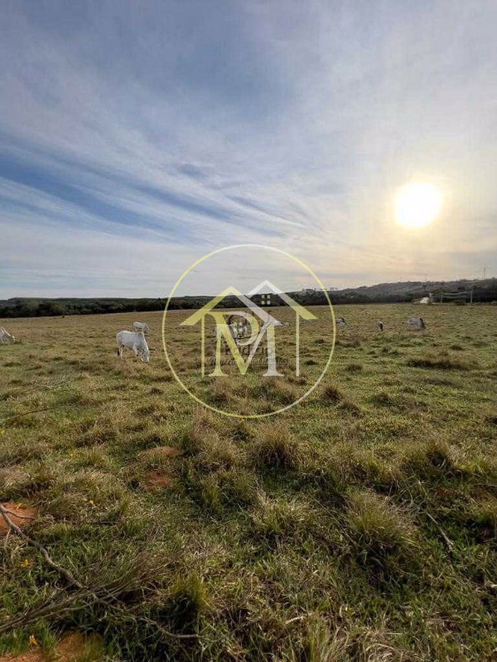 Terreno, 32 hectares - Foto 1