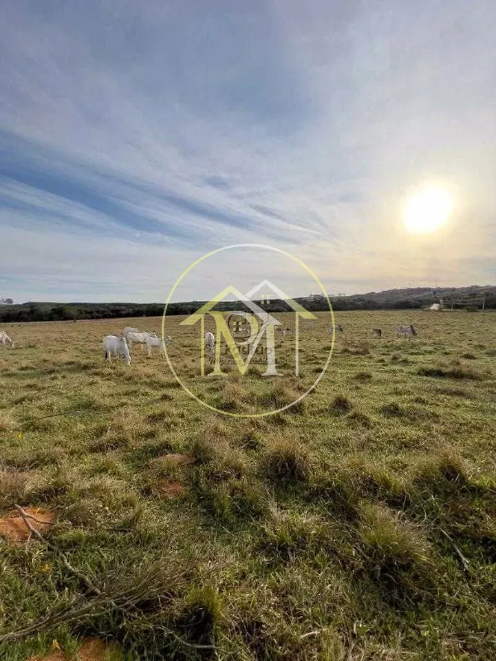 Terreno, 32 hectares - Foto 7