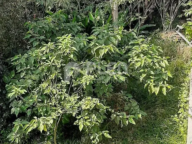 Terreno com 500m², à venda, no bairro Tremembé em São Paulo