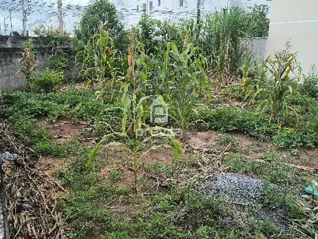 Terreno com 273m², à venda, no bairro Residencial Novo Horizonte em Taubaté