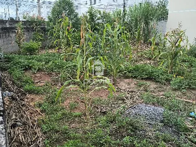 Terreno com 273m², à venda, no bairro Residencial Novo Horizonte em Taubaté