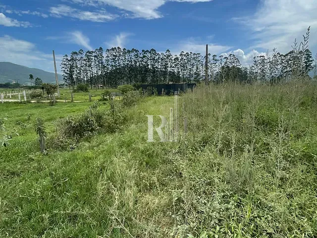 Terreno com 6000000m², à venda, no bairro Timbé em Tijucas