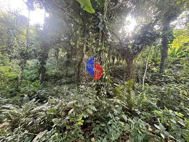 Terreno com 1539m², à venda, no bairro Limoeiro em Guapimirim