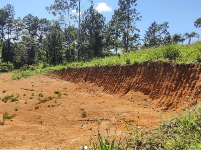 Foto do Terreno - Á VENDA: Terreno Urbano 12x44 no bairro  Santa Teresa, São Pedro de Alcântara, Santa Catarina. | Costão Sul Imóveis